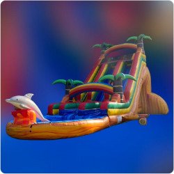 22ft Tropical Double Paradise Slide