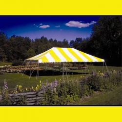 Tent - 20x40 Yellow/White Low Peak